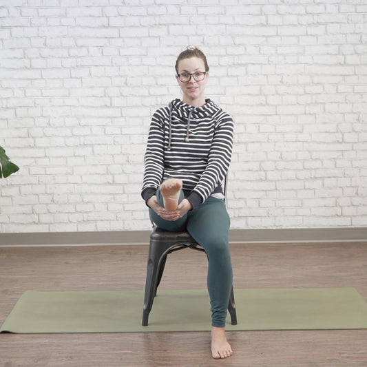 Gentle Chair Yoga For Aging Adults - Volume 2 Digital Class