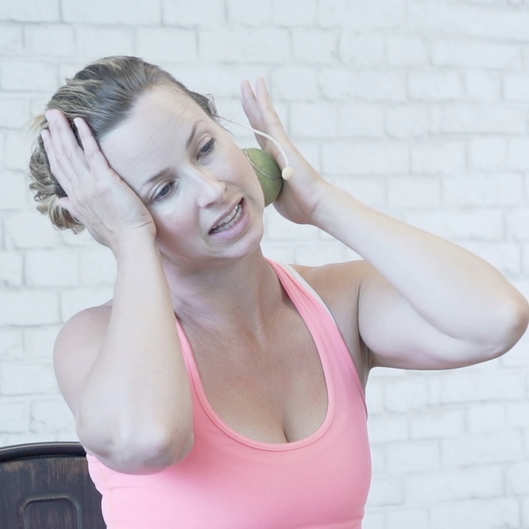 Seated Myofascial Release - Volume 2 Digital Class