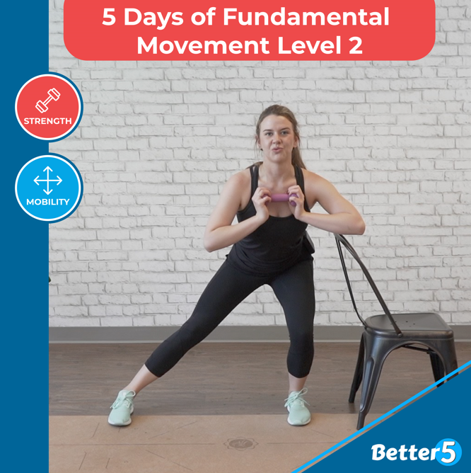 5 Day Class of Essential Fitness Movements For Healthy Aging - Volume 2 Digital Class