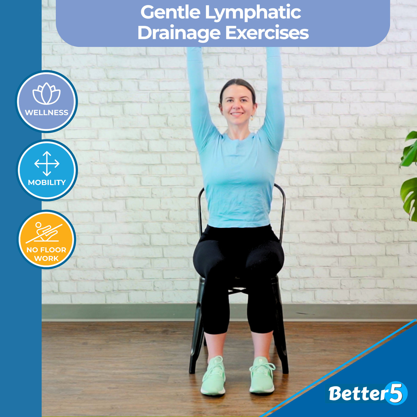 Gentle Lymphatic Drainage Exercises Digital Class