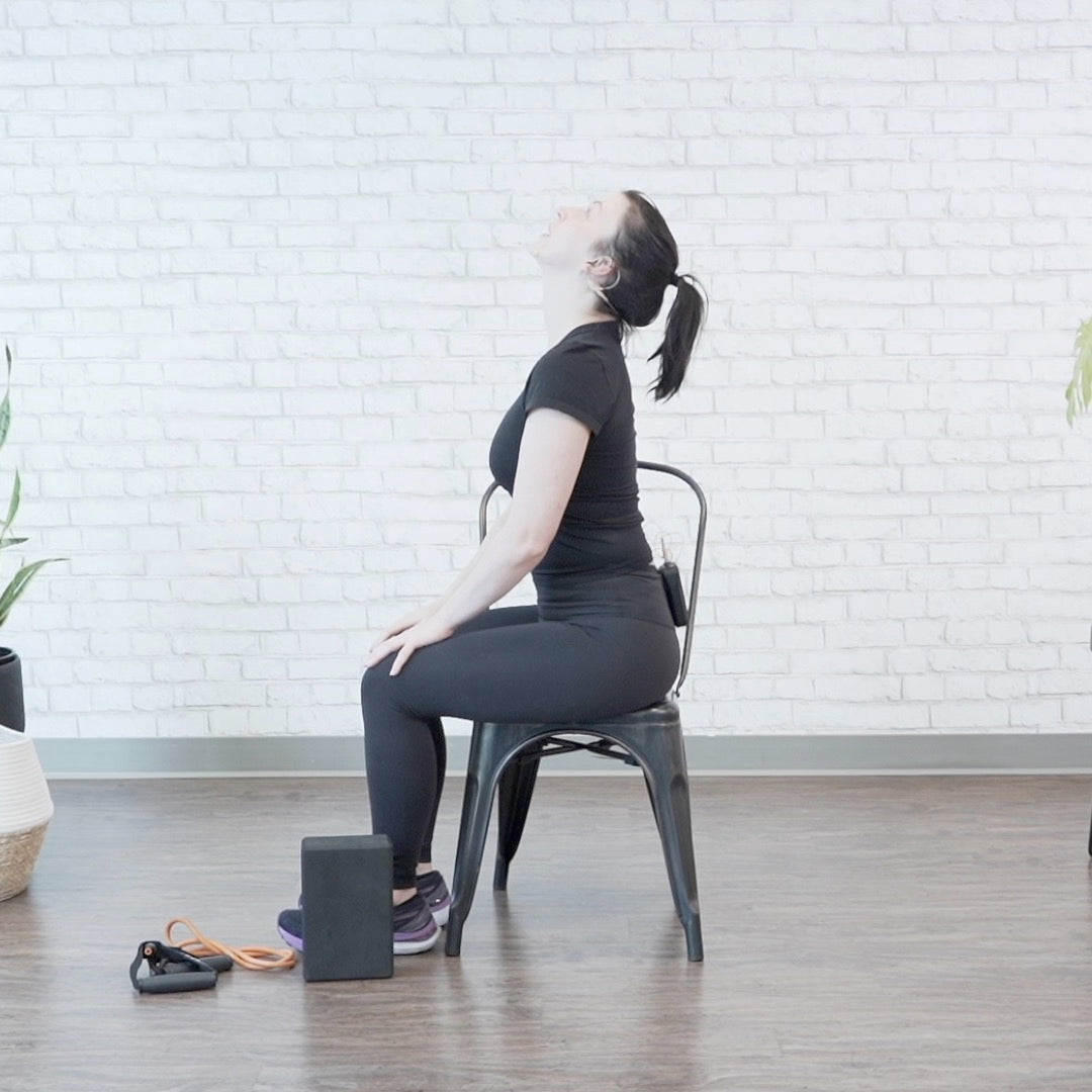 Chair Assisted Rows Chair-Assisted Core Strengthening Volume 2 Digital Class – Better5