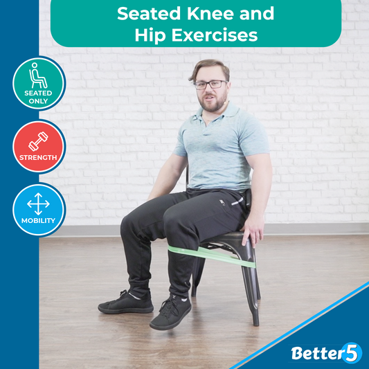 Seated Knee & Hip Exercises Digital Class