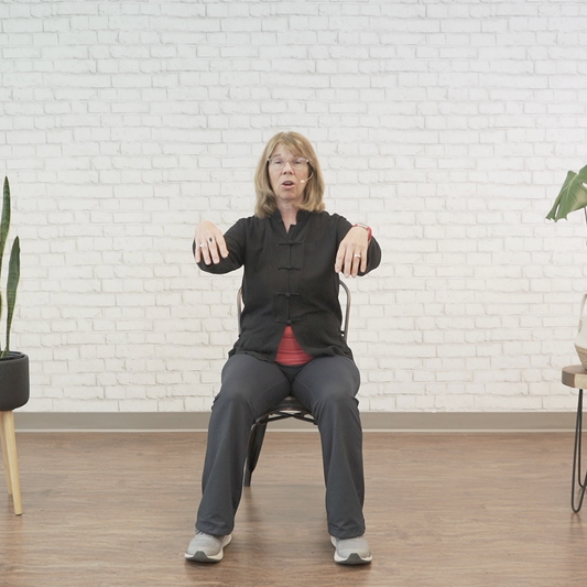 Seated Tai Chi DVD