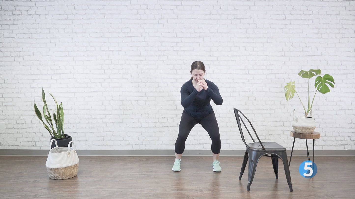 7 Day Indoor Walking Workout - Volume 3 Digital Class