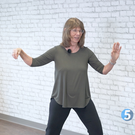 Beginner Tai Chi for Body & Mind 3 DVD