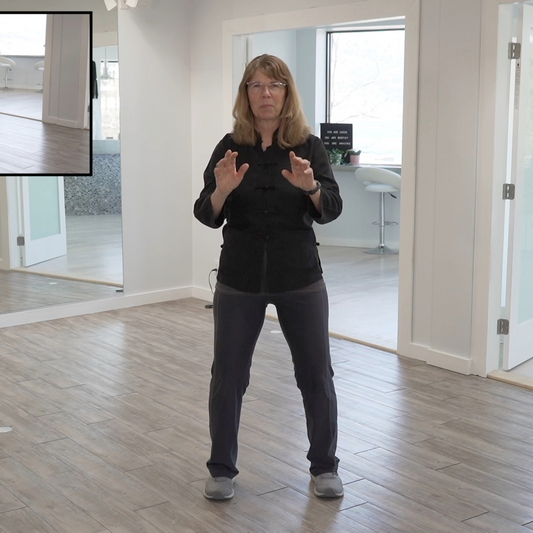 Beginner Tai Chi for Body and Mind Health Digital Class