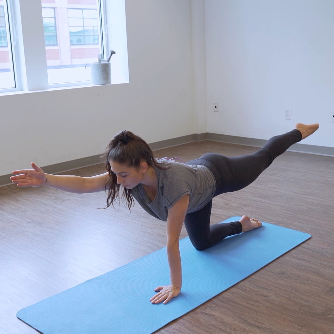 Pelvic Reset for Lower Back Pain Relief Digital Class