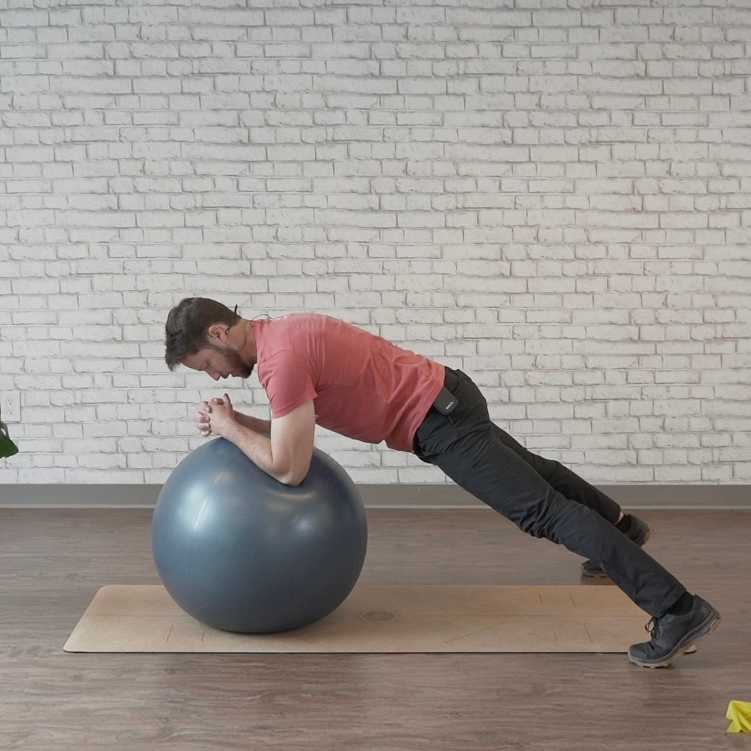 Stability Ball Exercises For Increased Agility Digital Class
