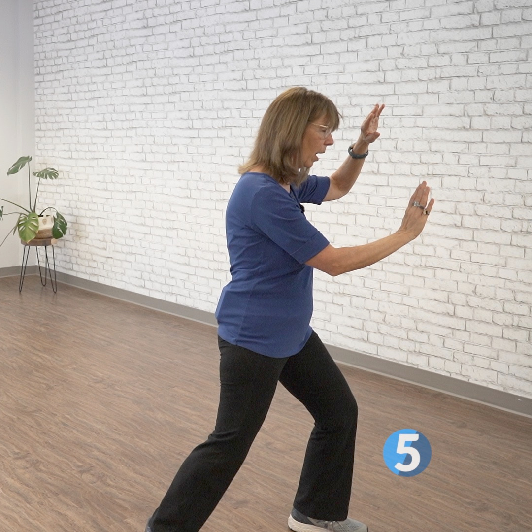 Beginner Tai Chi for Body & Mind 3 Digital Class