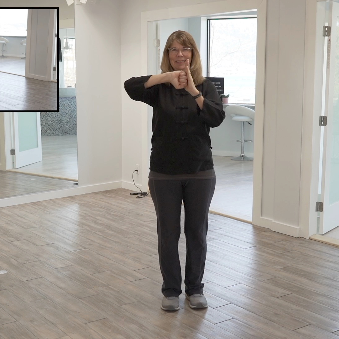 Beginner Tai Chi for Body and Mind Health Digital Class