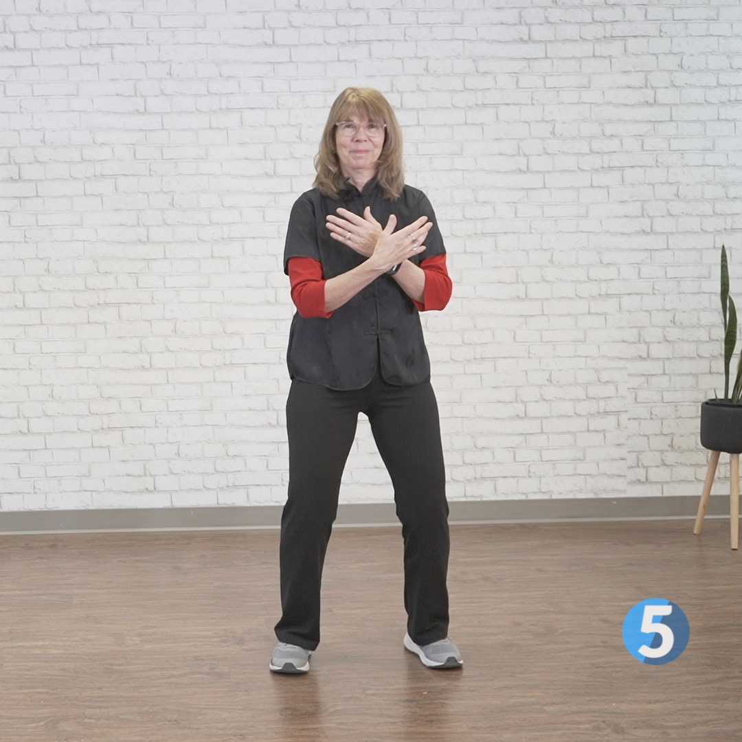 Beginner Tai Chi for Body & Mind 3 Digital Class