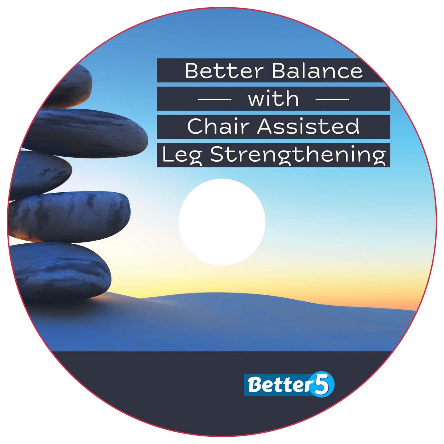 Better Balance with Chair Assisted Leg Strengthening DVD