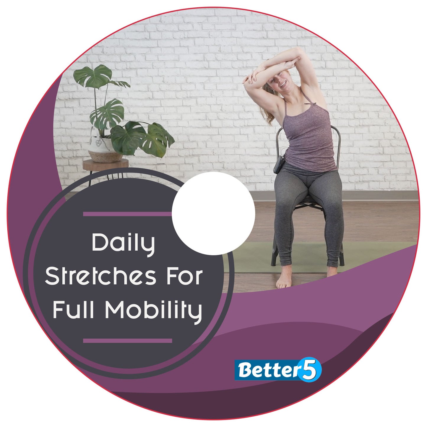 Daily Stretches For Full Mobility DVD Class
