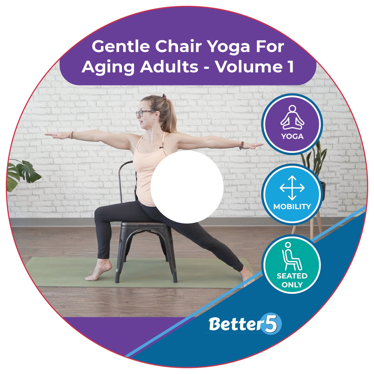 Gentle Chair Yoga For Aging Adults - Volume 1 DVD