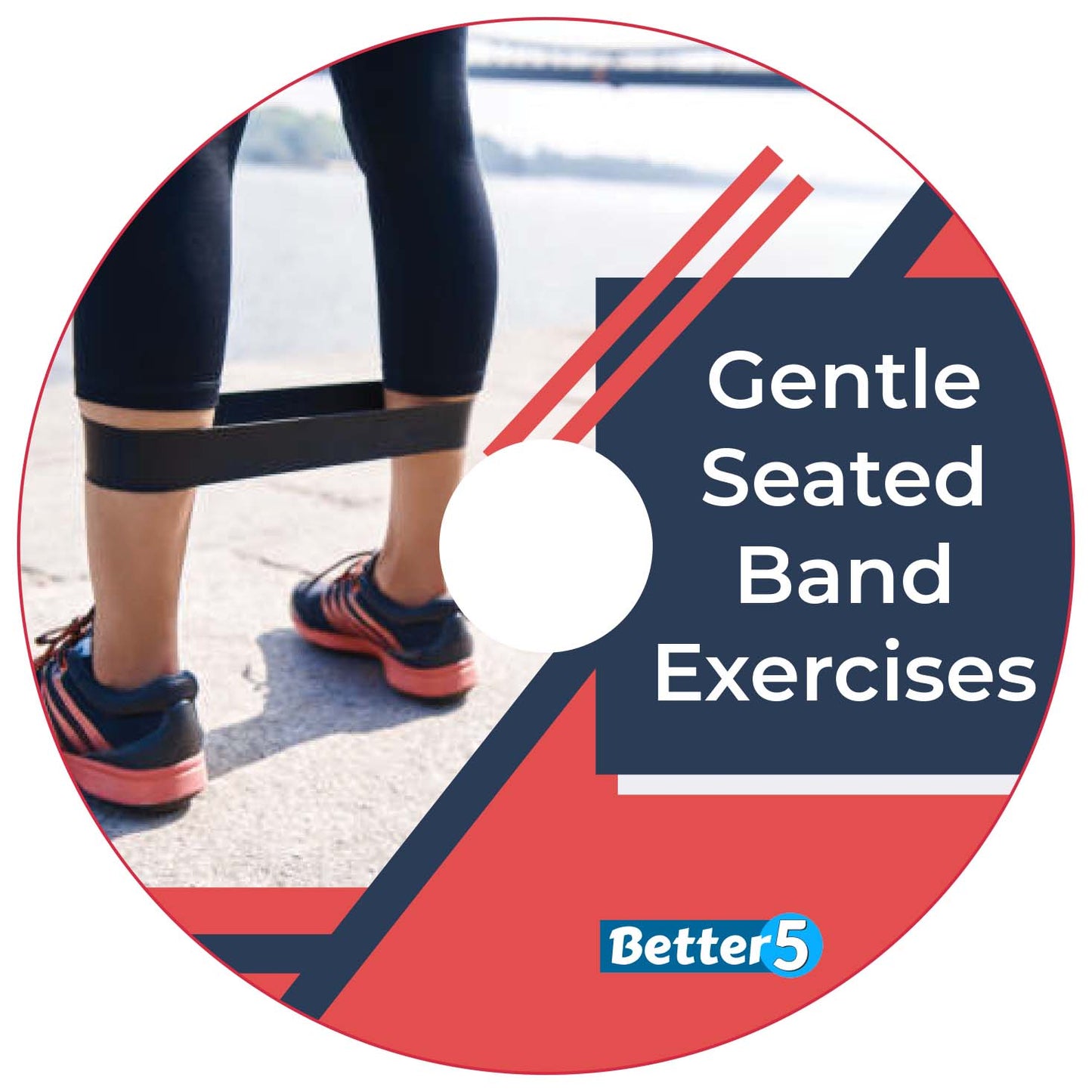 Gentle Seated Band Exercises DVD