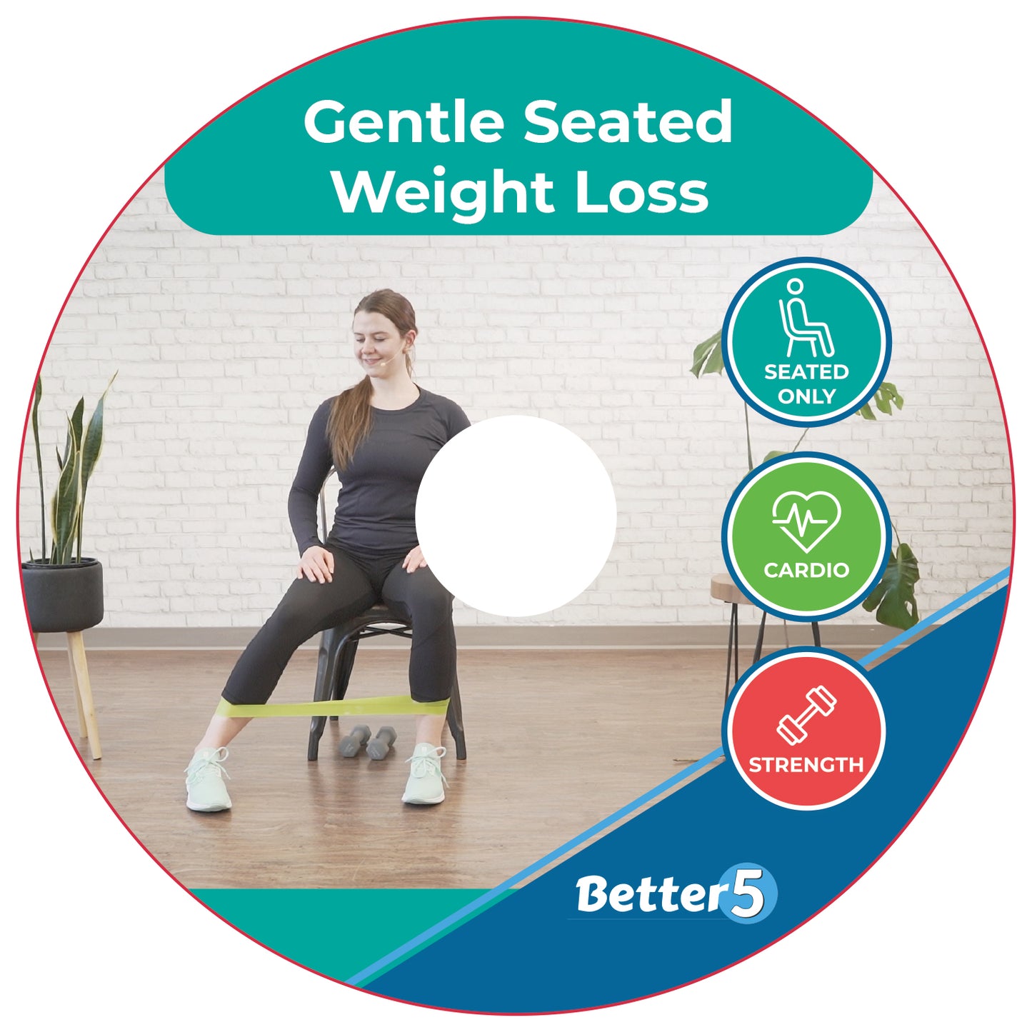 Gentle Seated Weight Loss DVD