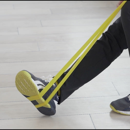 5 Day Chair-Assisted Ankle Strength Class Digital Class
