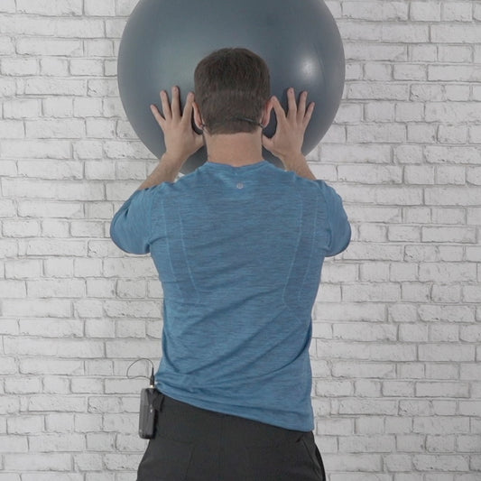 5 Days of Low Impact Full Body Exercises with a Stability Ball Digital Class