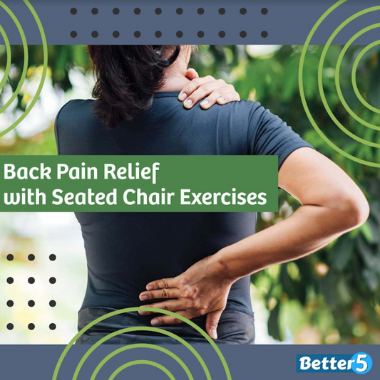 Back Pain Relief With Seated Chair Exercises Digital Class