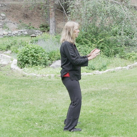 Beginner Tai Chi for Body and Mind Health - Level 2 Digital Class