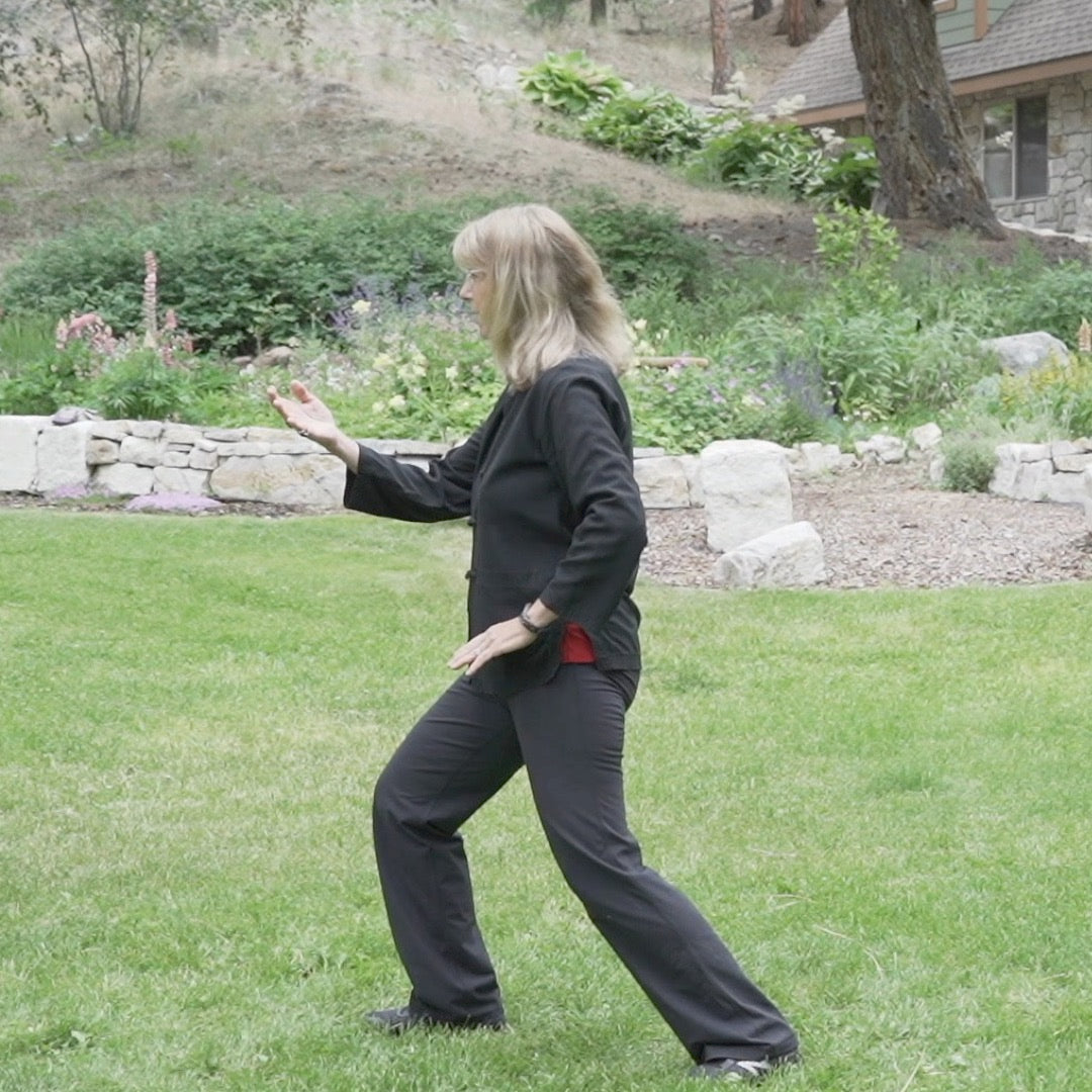 Beginner Tai Chi for Body and Mind Health - Level 2 Digital Class