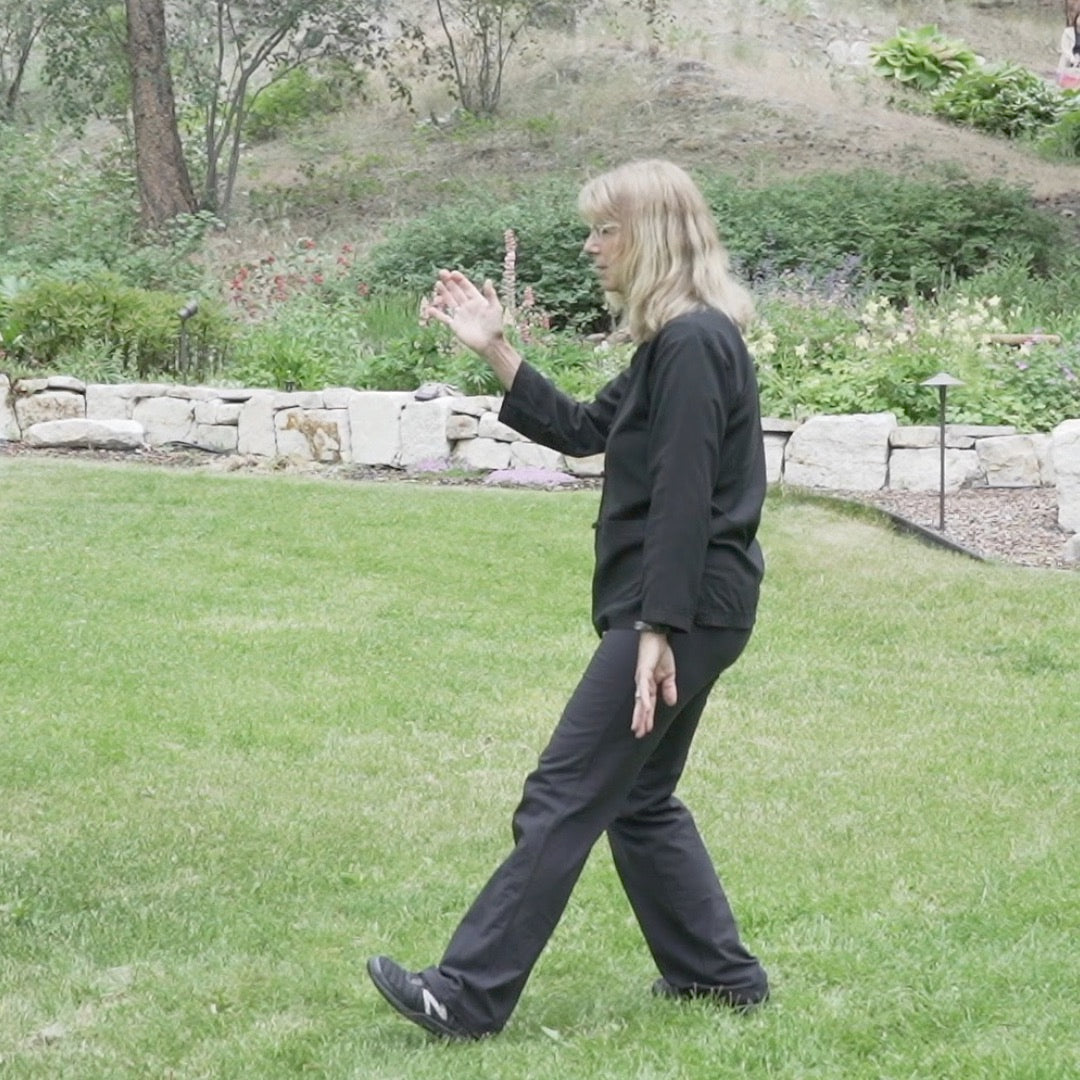 Beginner Tai Chi for Body and Mind Health - Level 2 Digital Class