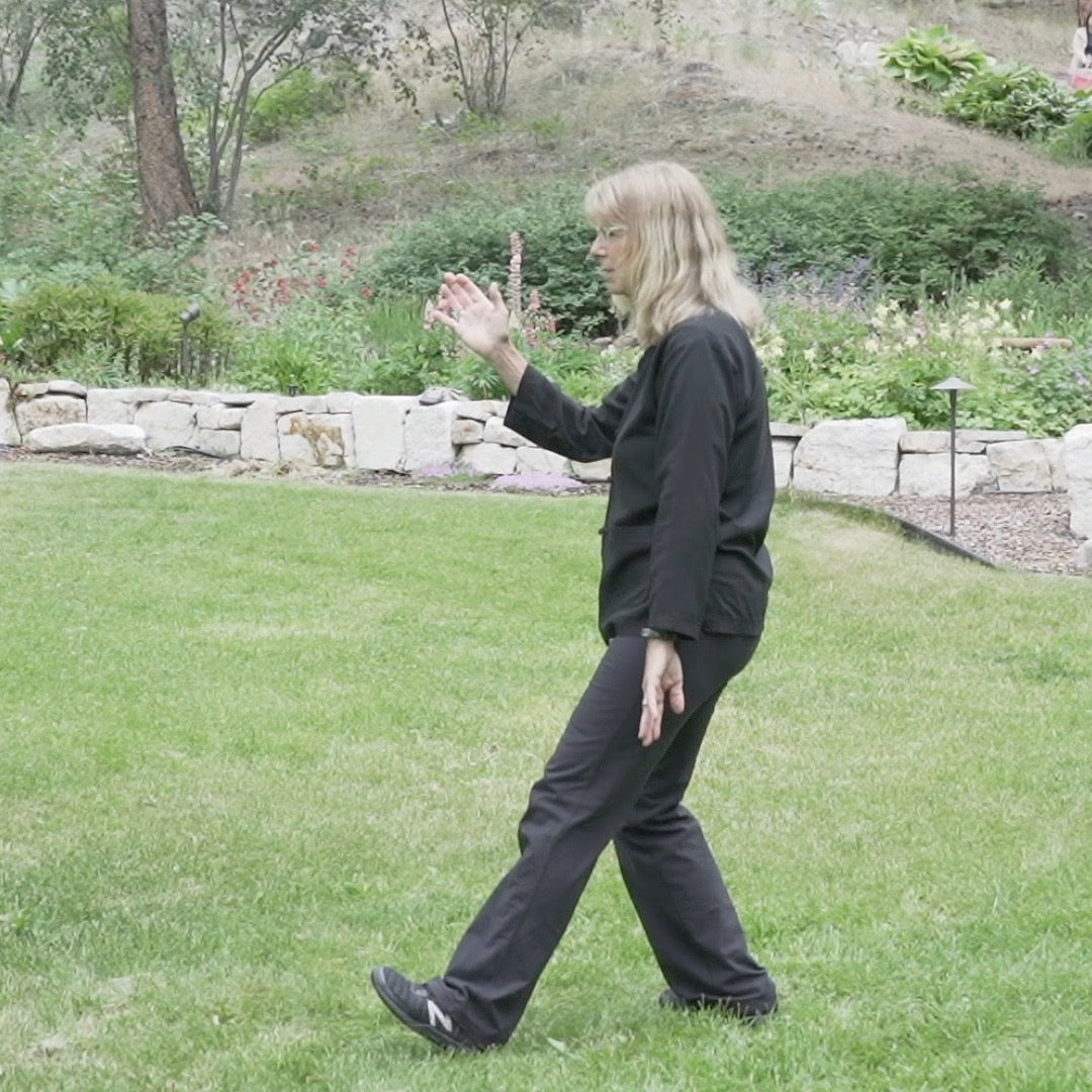 Beginner Tai Chi for Body and Mind Health - Level 2 DVD
