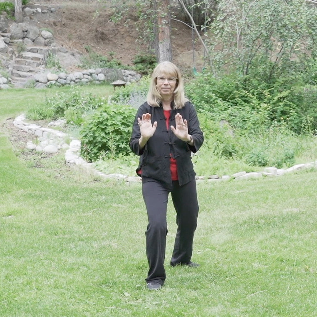 Beginner Tai Chi for Body and Mind Health - Level 2 Digital Class