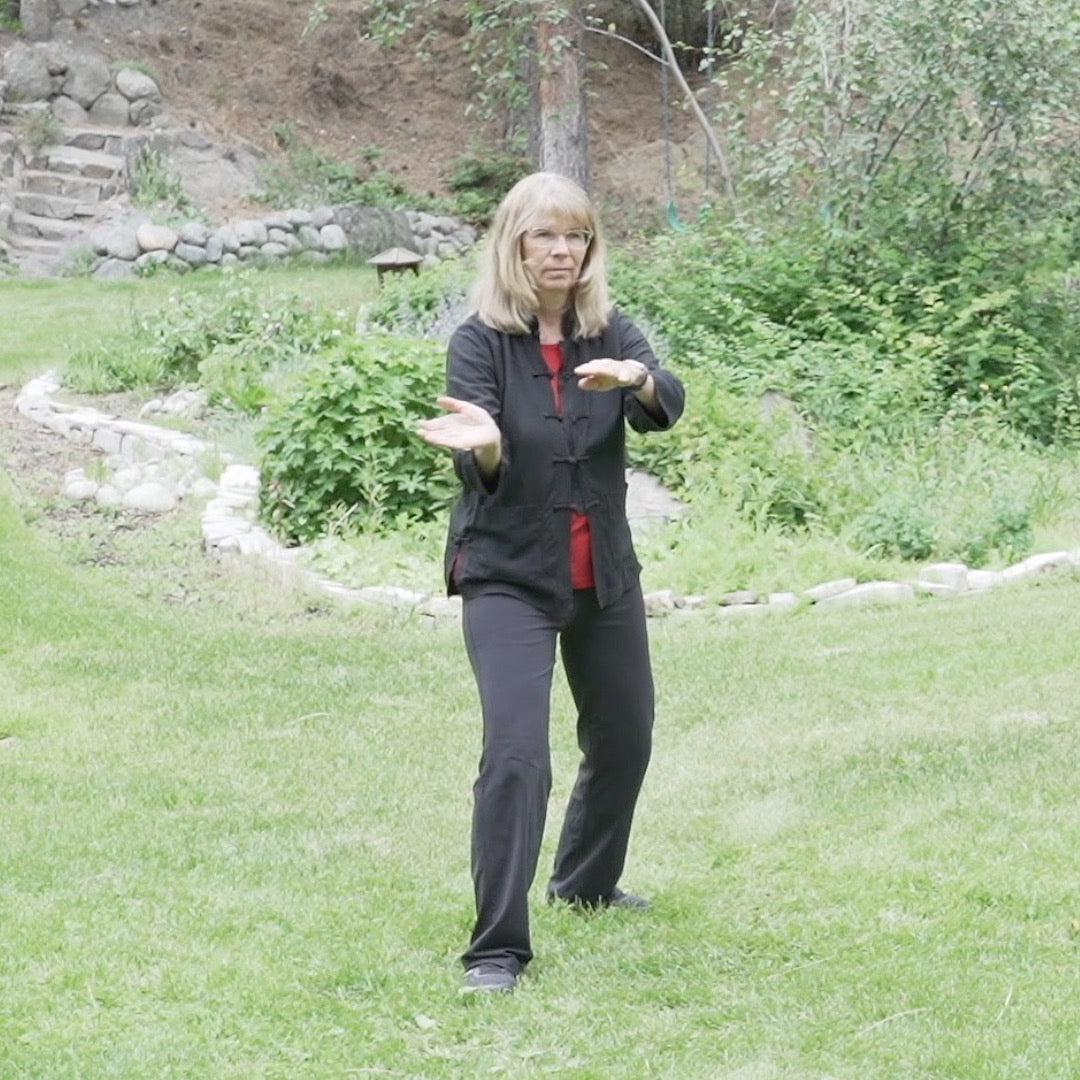 Beginner Tai Chi for Body and Mind Health - Level 2 Digital Class