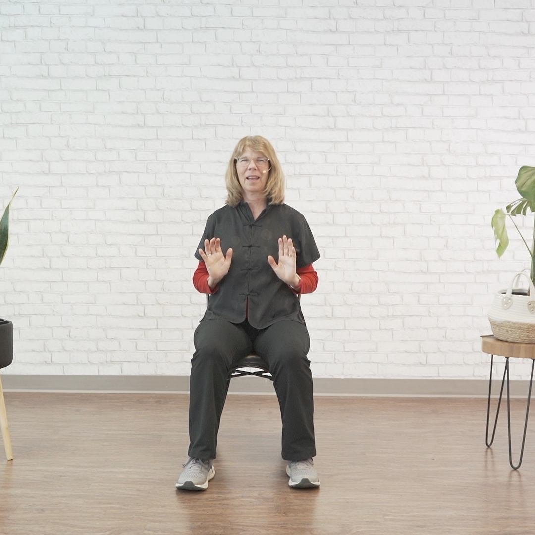 Seated Tai Chi Digital Class