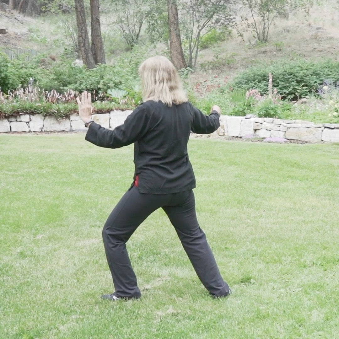 Beginner Tai Chi for Body and Mind Health - Level 2 Digital Class