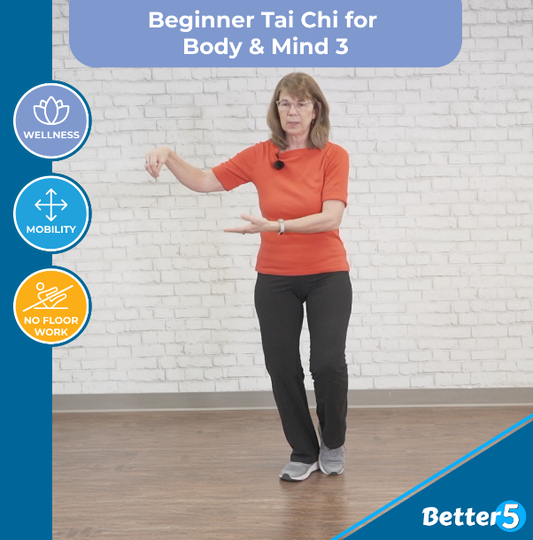 Beginner Tai Chi for Body & Mind 3 Digital Class