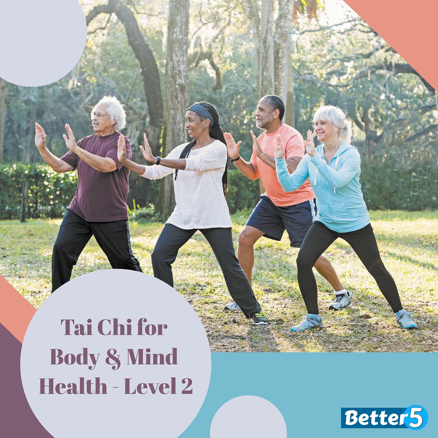 Beginner Tai Chi for Body and Mind Health - Level 2 Digital Class